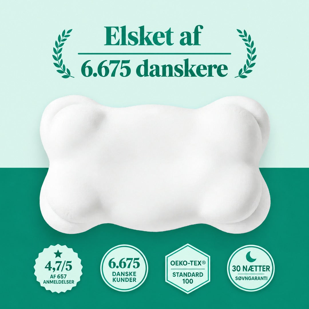 CloudForm Pillow – billede 1
